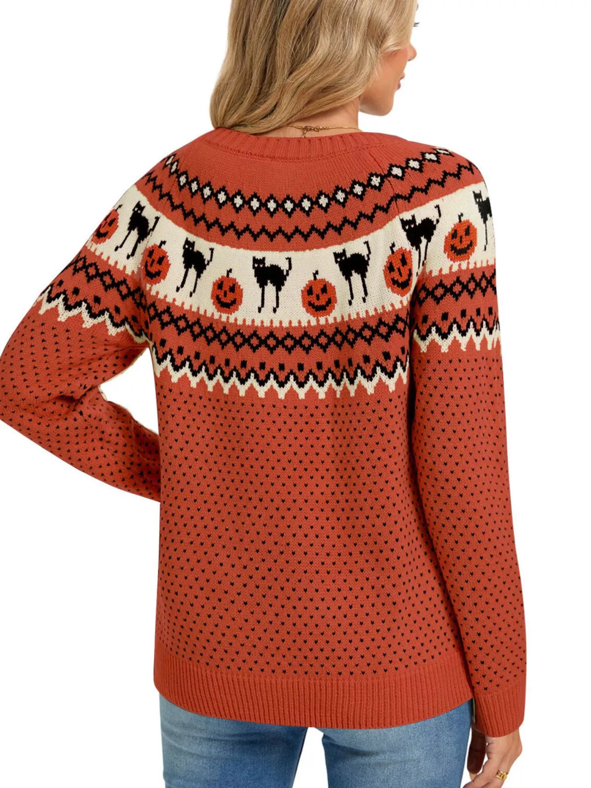 Halloween Pumpkin and Cat Pattern Knit Round Neck Sweater