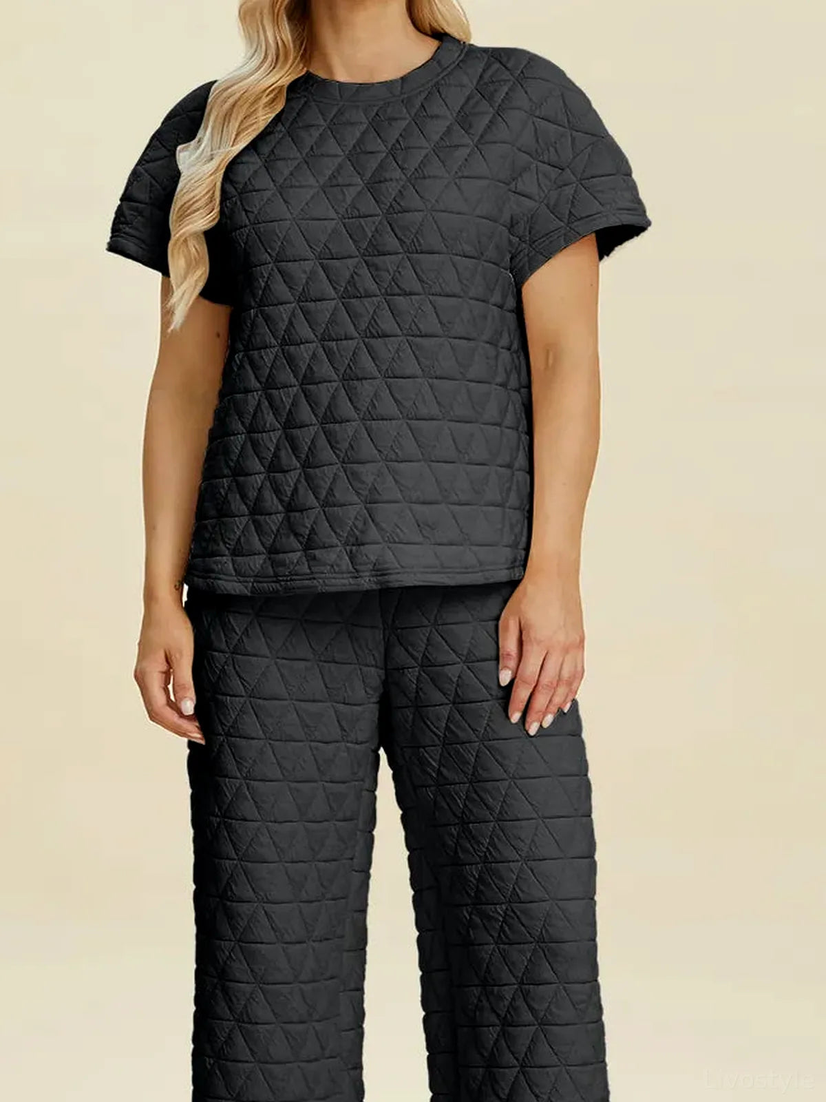 Texture Round Neck Short Sleeve Top and Pants Set