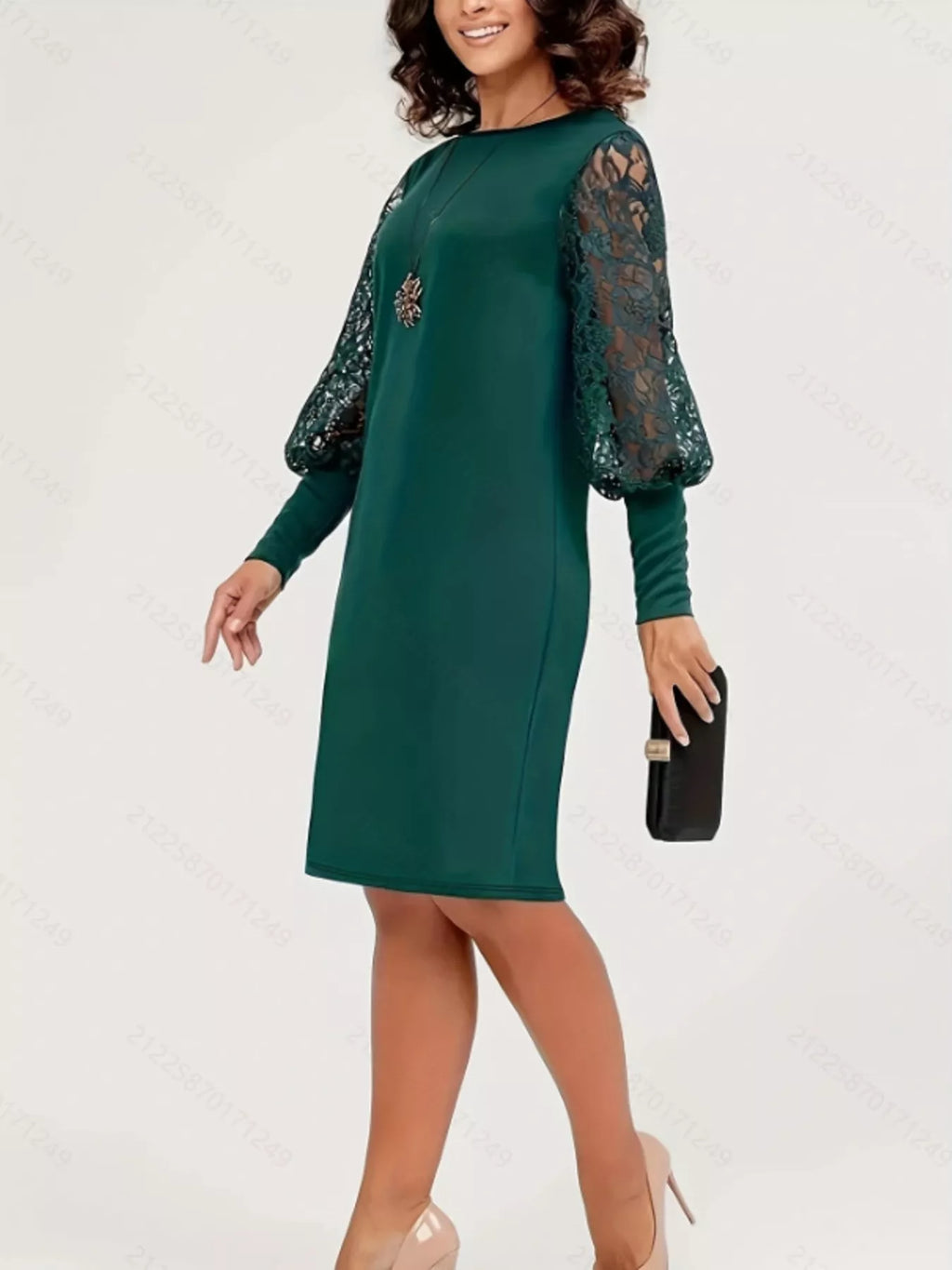 Lace Lantern Sleeve Dress