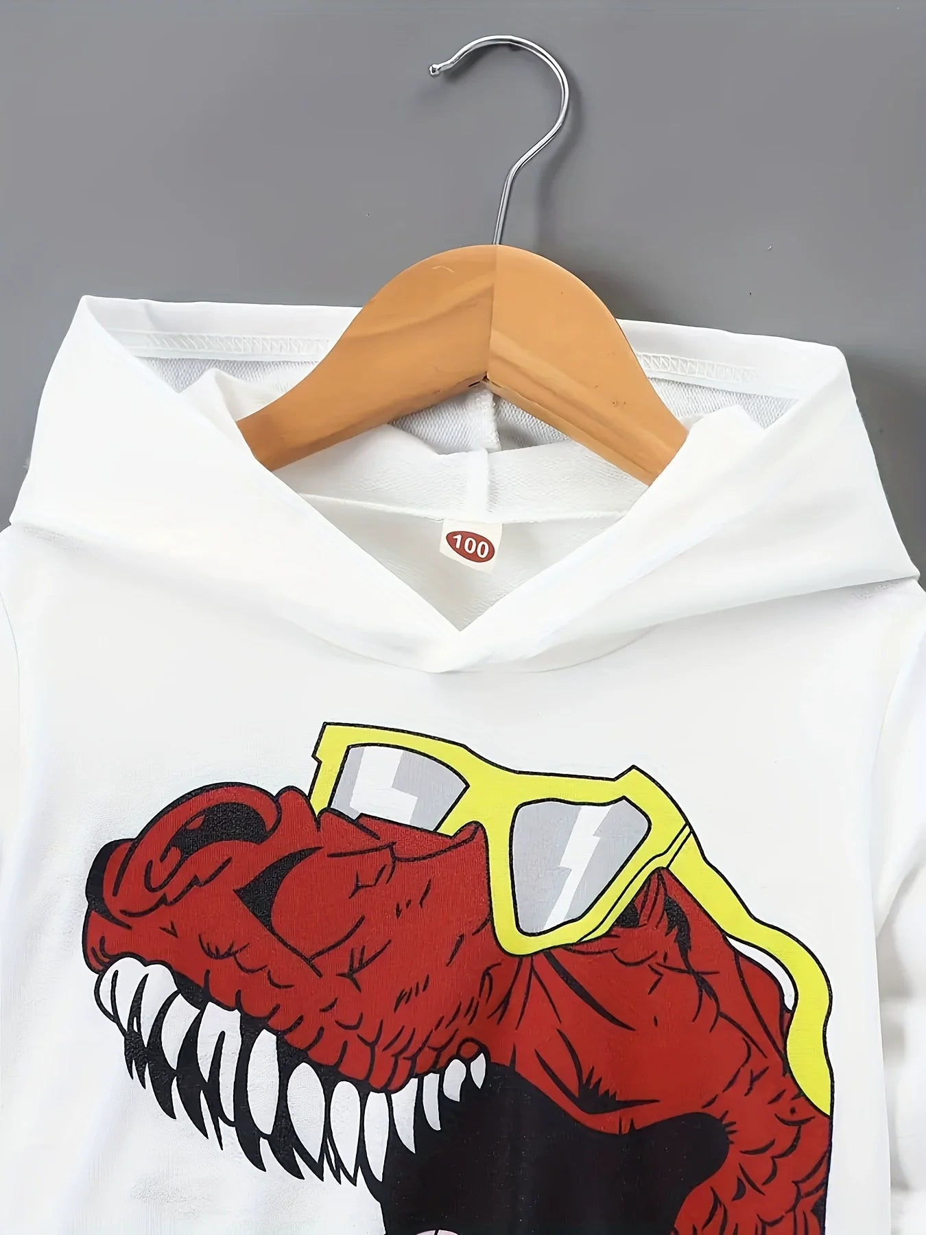 Children's Dinosaur Graphic Hoodie and Pants Set