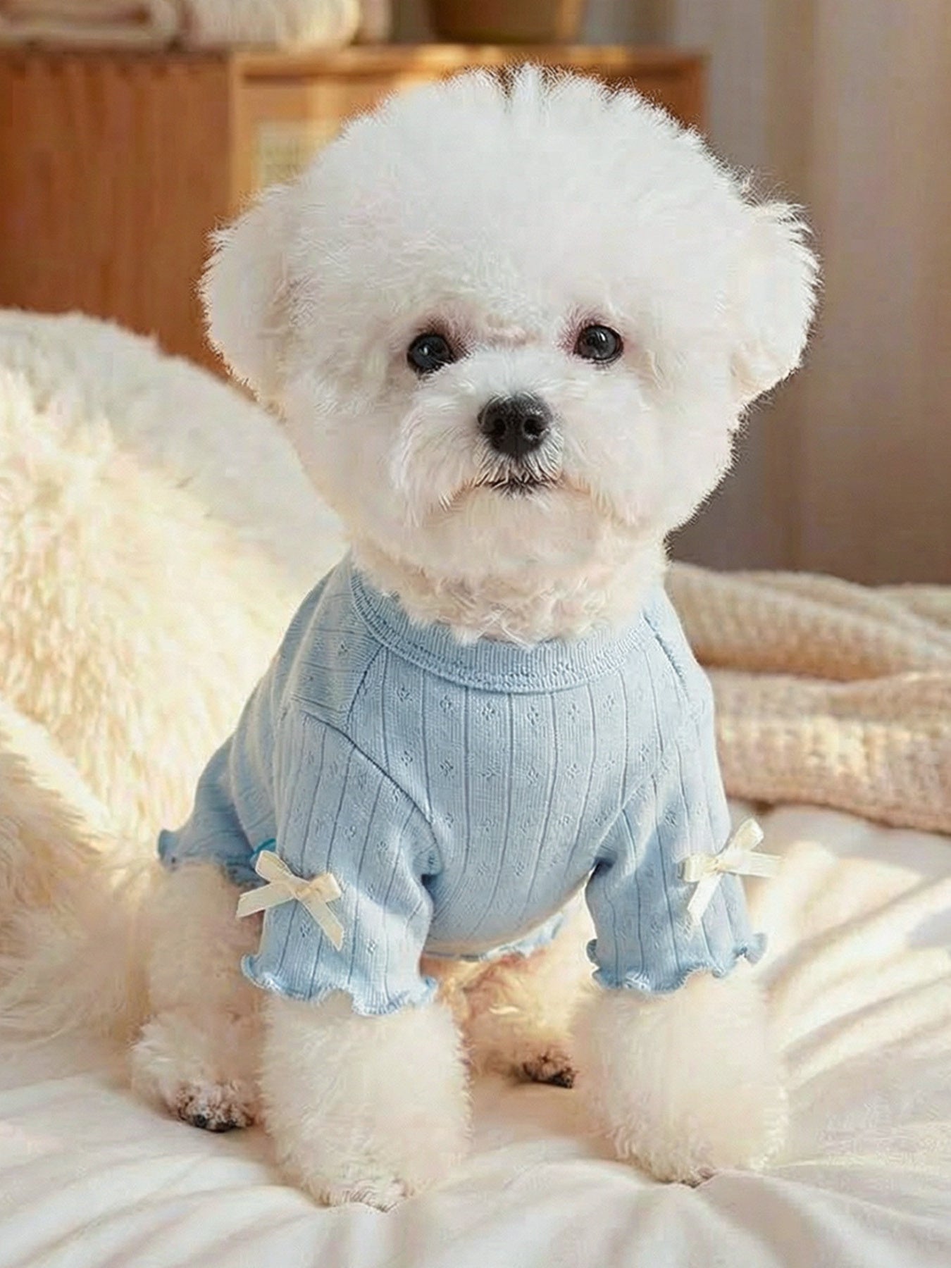 Sweet Bear Patch Ribbed Pet Top