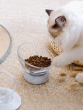 Elevated Tilted Non-Slip Clear Pet Bowl