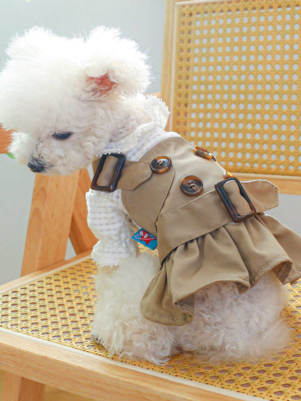 Buckle Pet Trench Coat