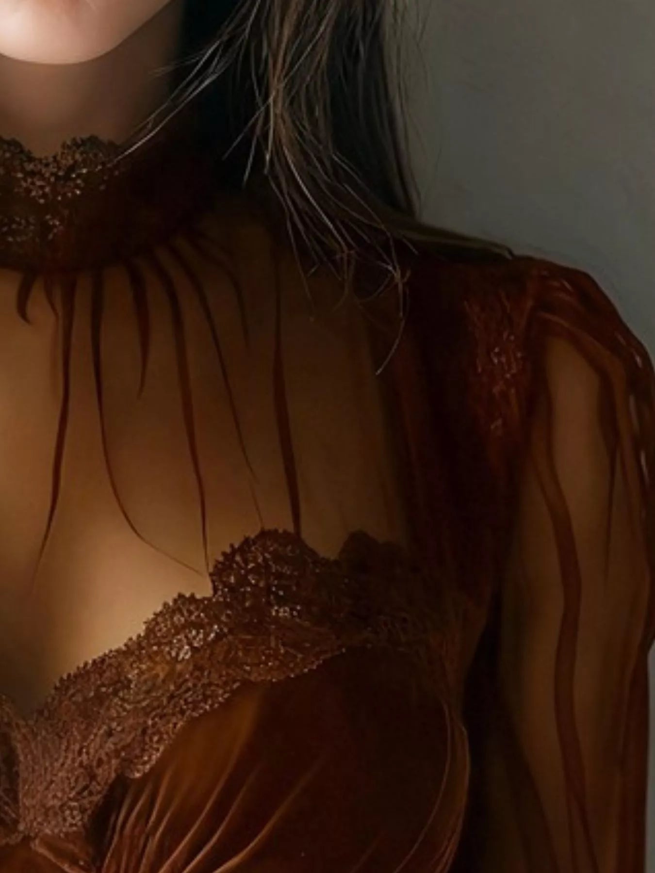 Lace Trim Velvet Sheer Sleeve Blouse