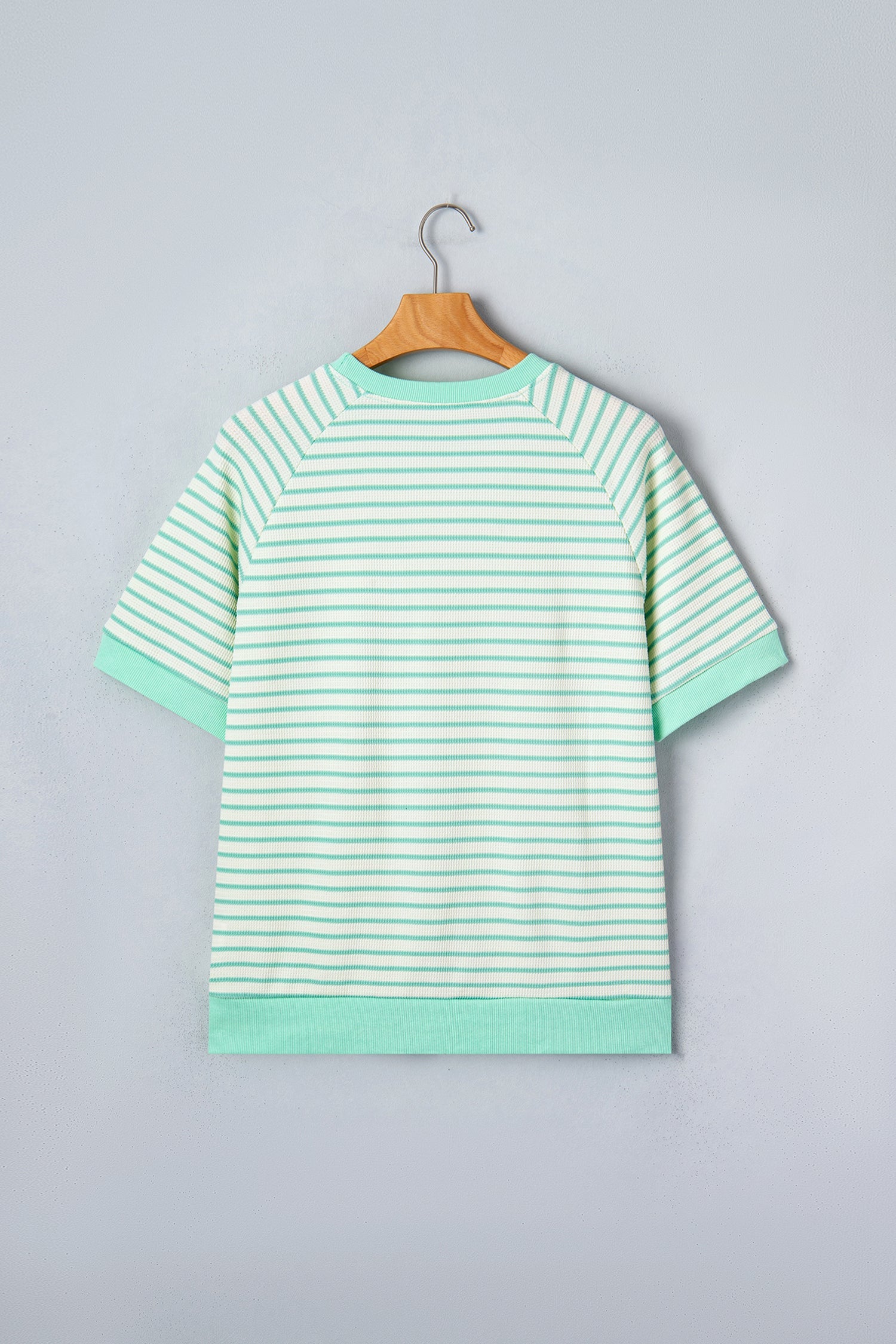 Green Stripe Colorblock Trim Round Neck Short Sleeve Tee