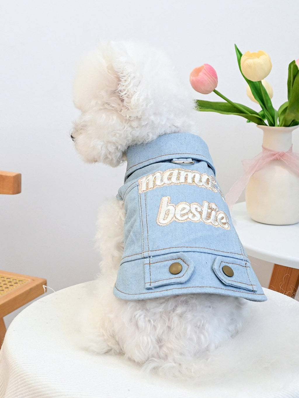 Embroidered Denim Pet Jacket