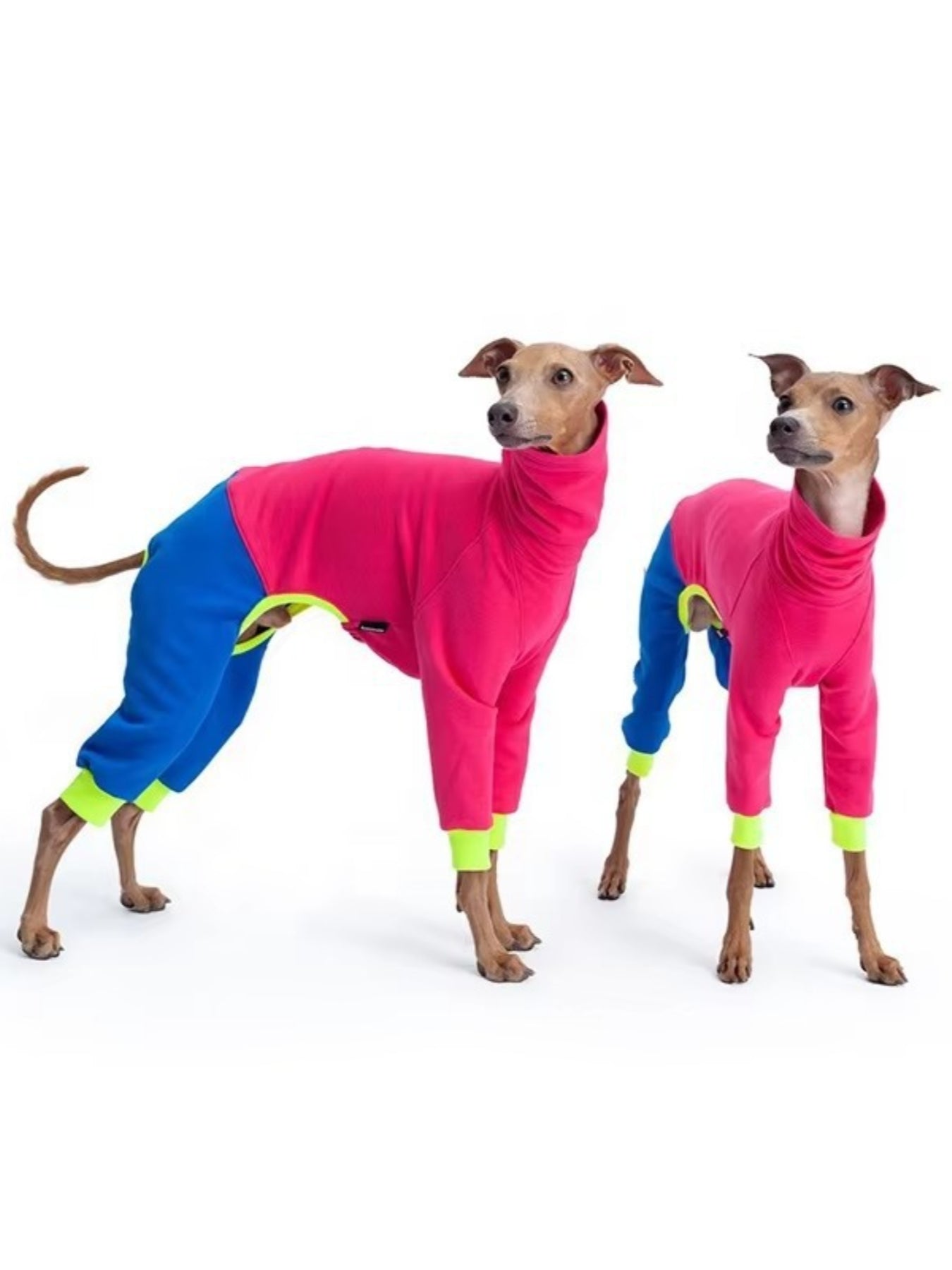 Full Size Color Block Turtleneck Pet Jumpsuits Plus Size