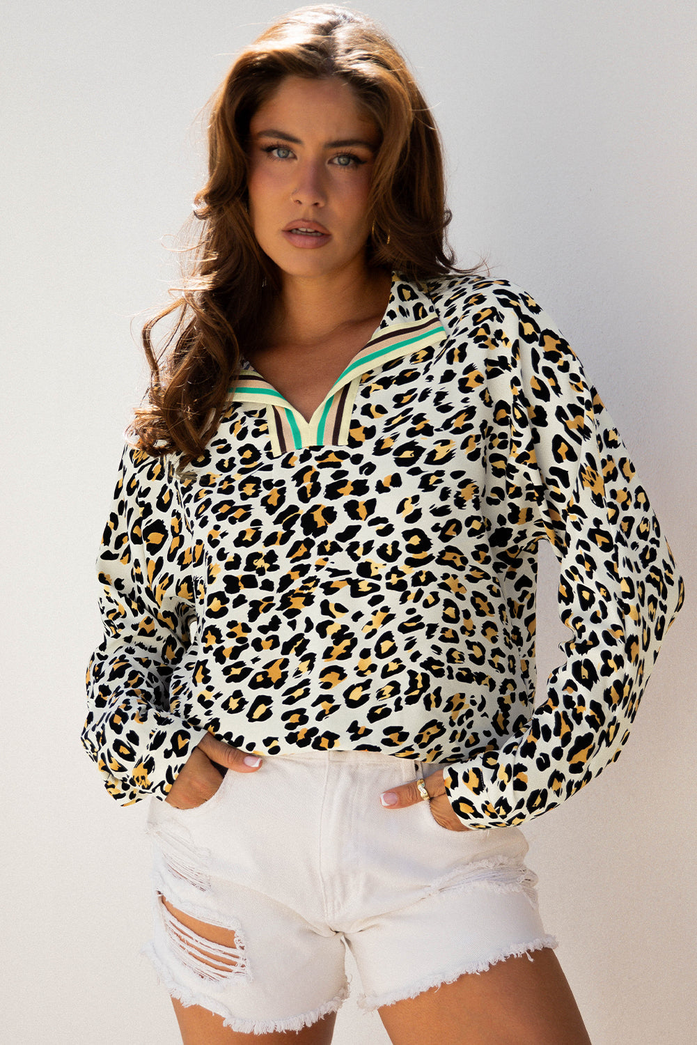 Leopard Contrast Stripe V-Neck Long Sleeve Blouse