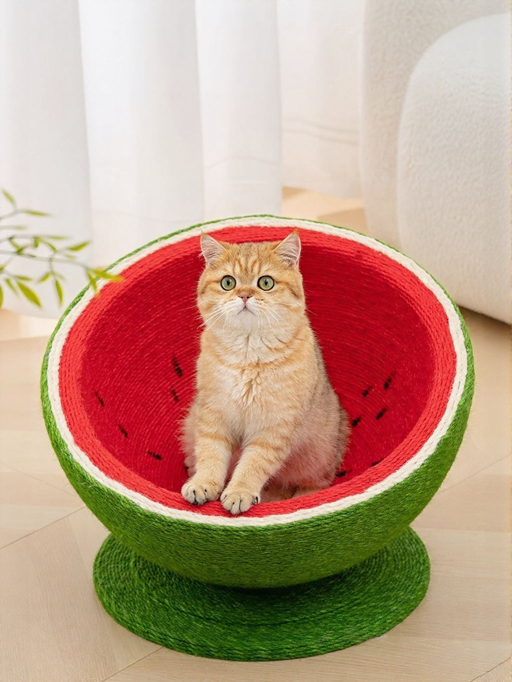 Watermelon Shaped Cat Scratching Post Nest