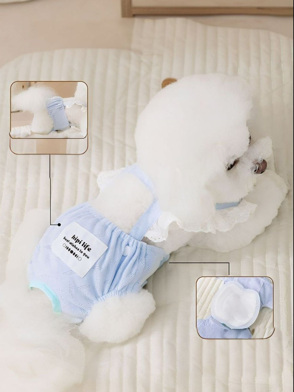 Pet Menstrual Clothes