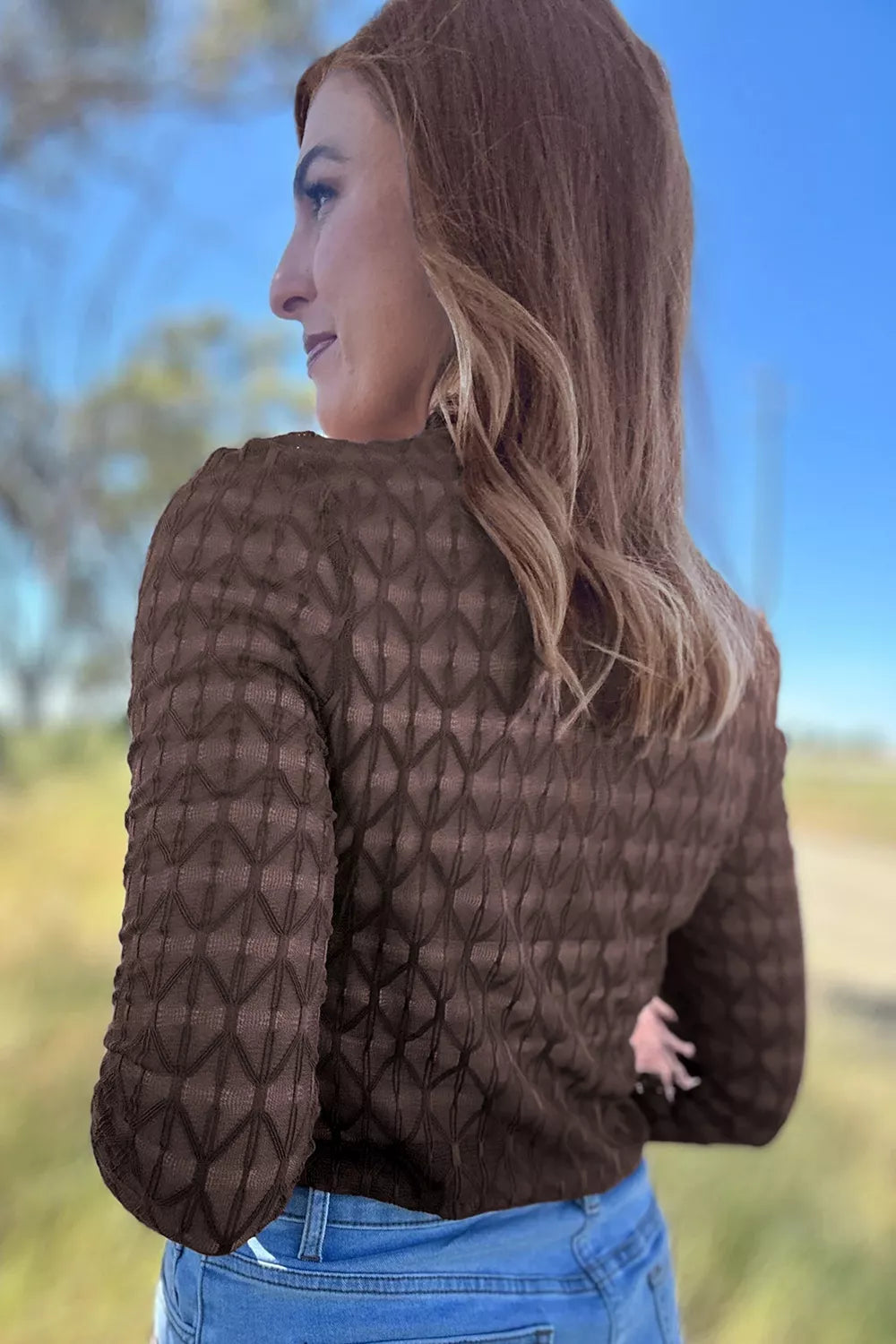 Sheer Textured Lace Stand Neck Long Sleeve Top