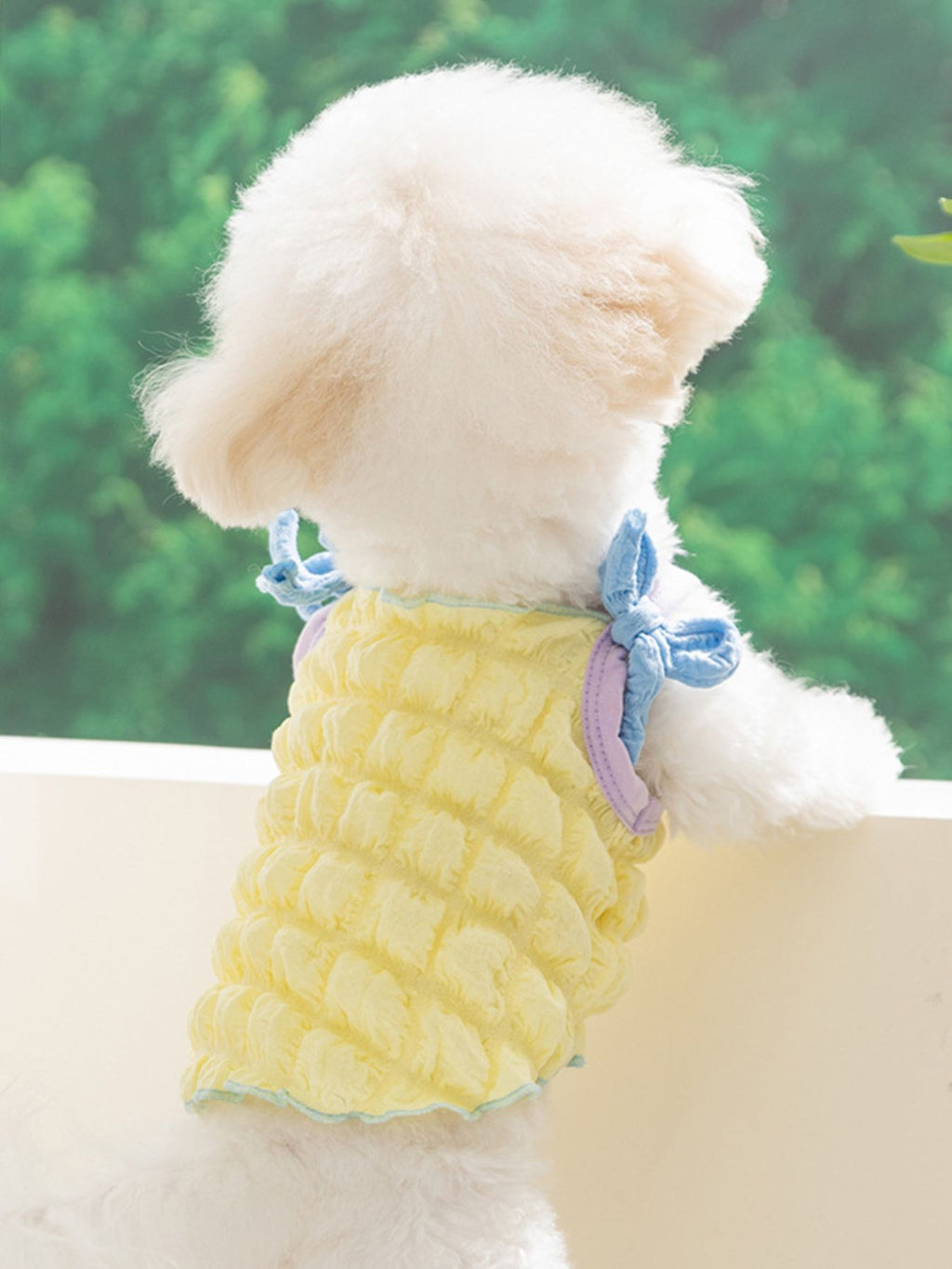 Bubble Textured Tie Shoulder Pet Top