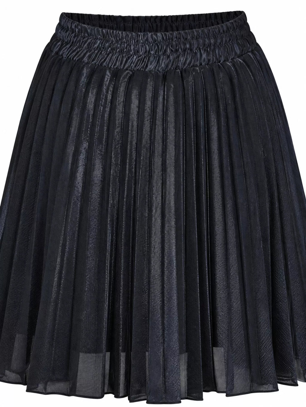 High-Waisted Pleated Maxi Skirt
