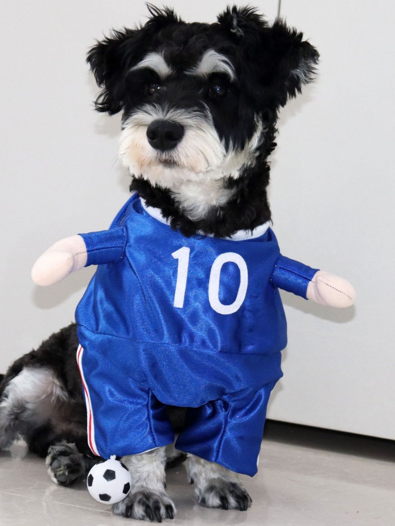 Number Pet Jumpsuit