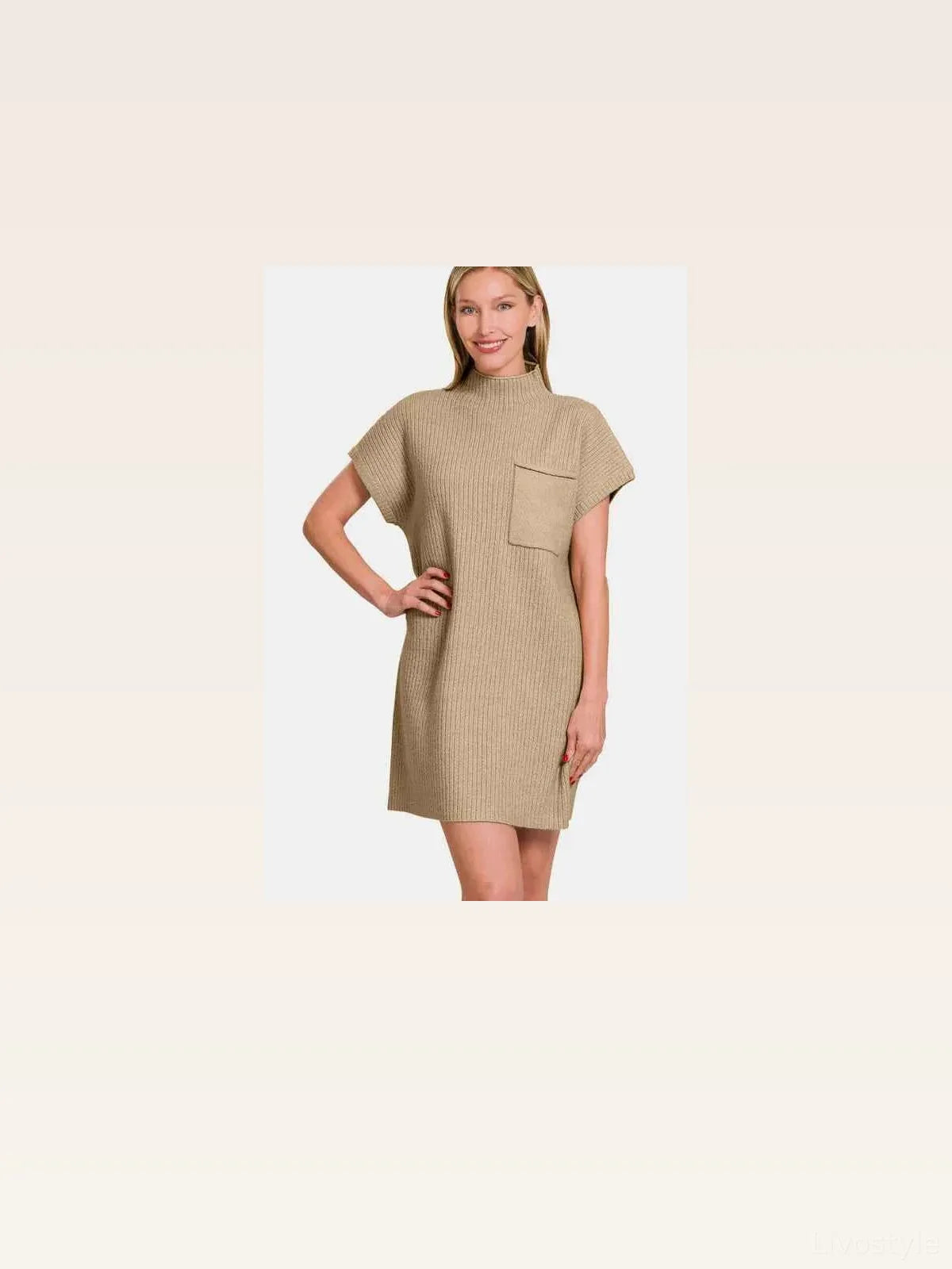 Short Sleeve Ribbed Sweater Mini Dress